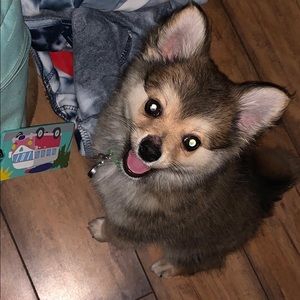 Meet your Posher, Matthew